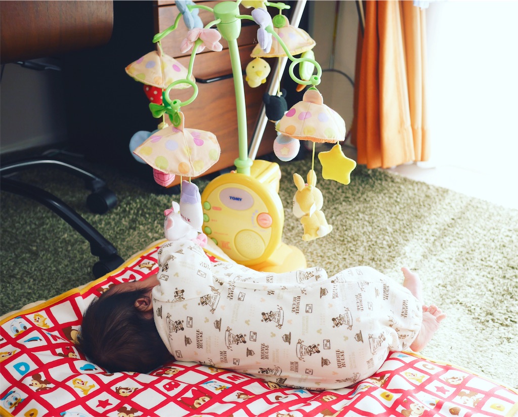 f:id:hamster_nappa:20170202133333j:image f:id:hamster_nappa:20170202133333j:image