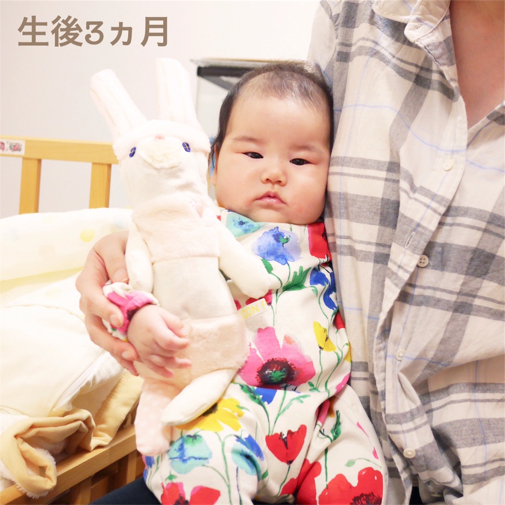 f:id:hamster_nappa:20170209181845j:image f:id:hamster_nappa:20170209181845j:image