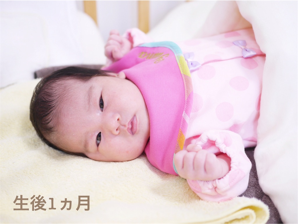 f:id:hamster_nappa:20170209182219j:image f:id:hamster_nappa:20170209182219j:image