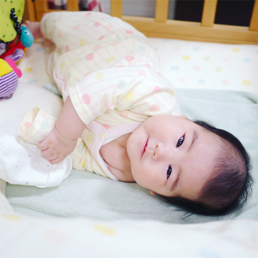 f:id:hamster_nappa:20170213010604j:image