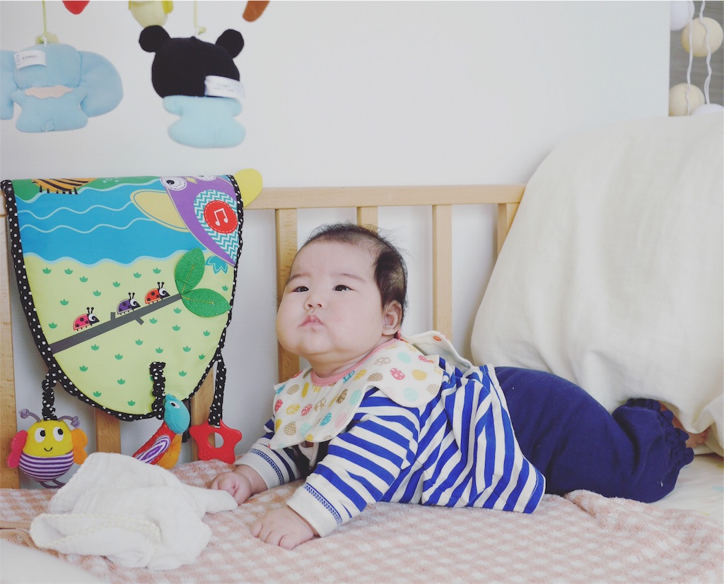 f:id:hamster_nappa:20170304001752j:image