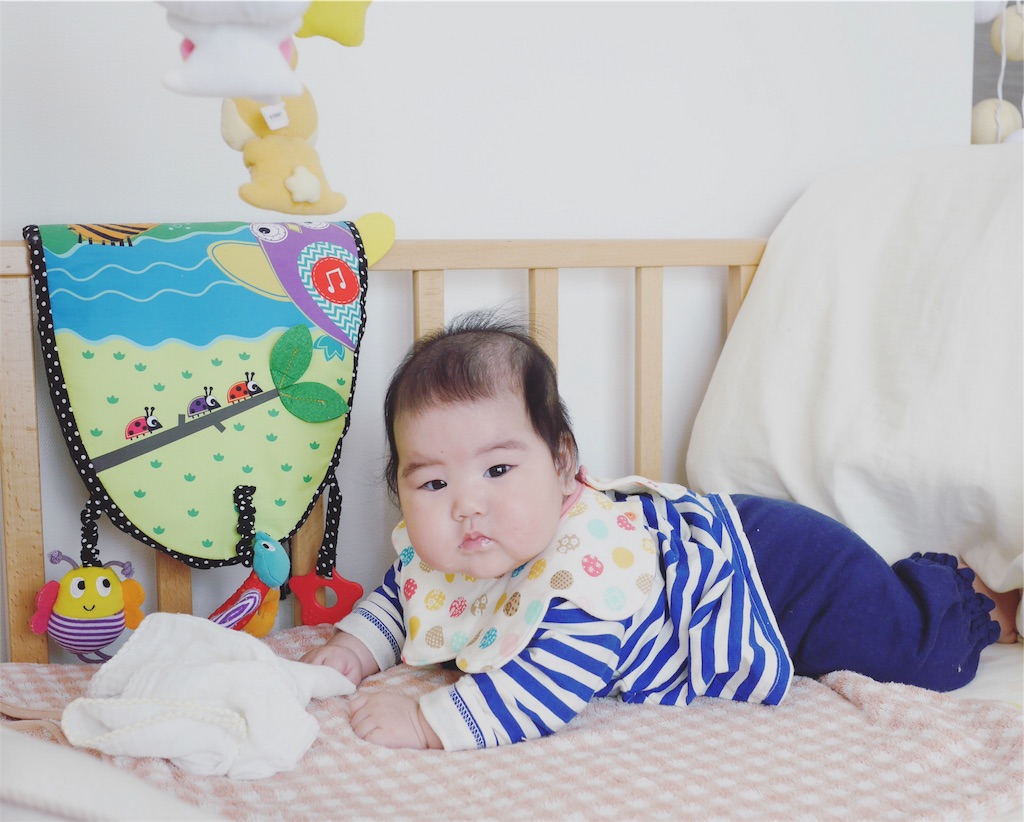 f:id:hamster_nappa:20170304001847j:image