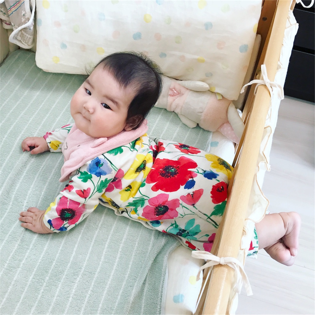 f:id:hamster_nappa:20170405233451j:image
