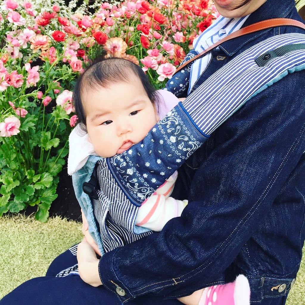 f:id:hamster_nappa:20170407132847j:image f:id:hamster_nappa:20170407132847j:image