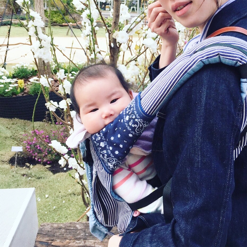 f:id:hamster_nappa:20170407133100j:image f:id:hamster_nappa:20170407133100j:image