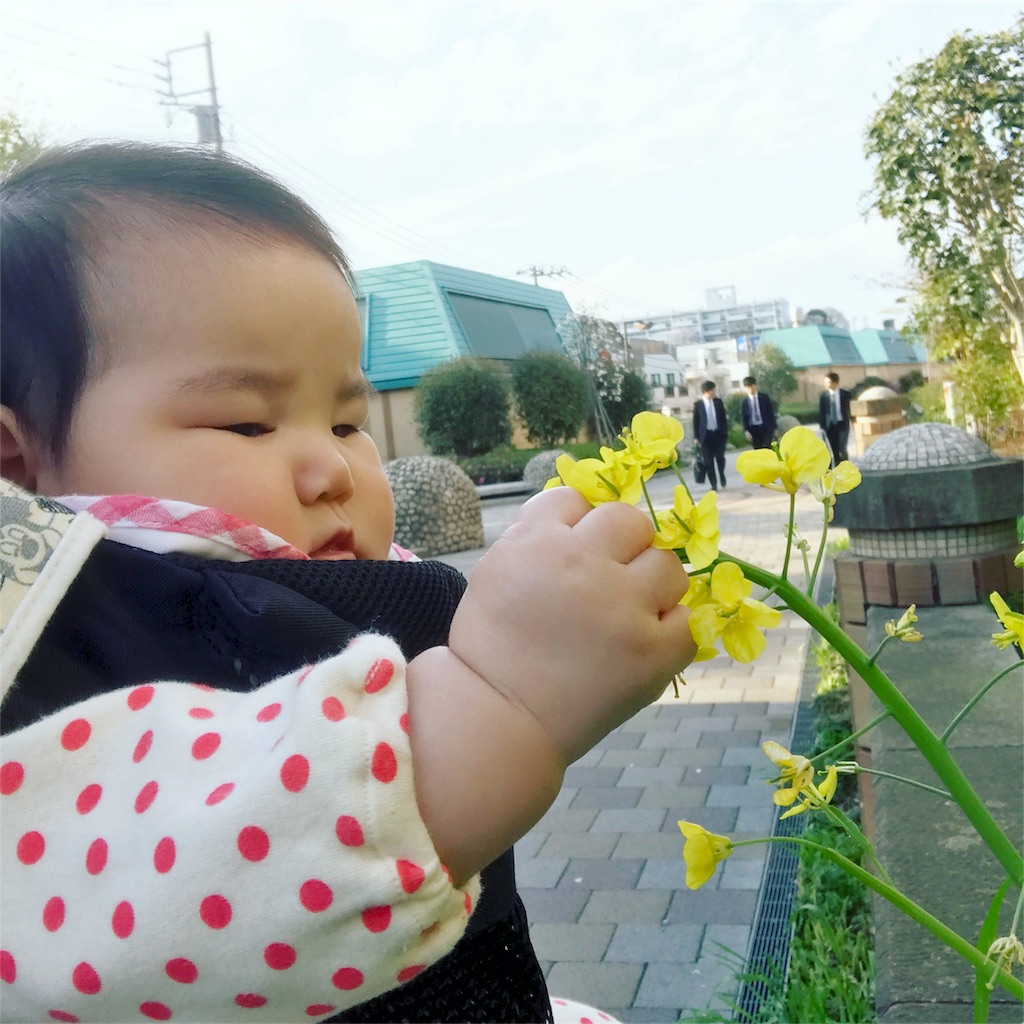 f:id:hamster_nappa:20170414122949j:image