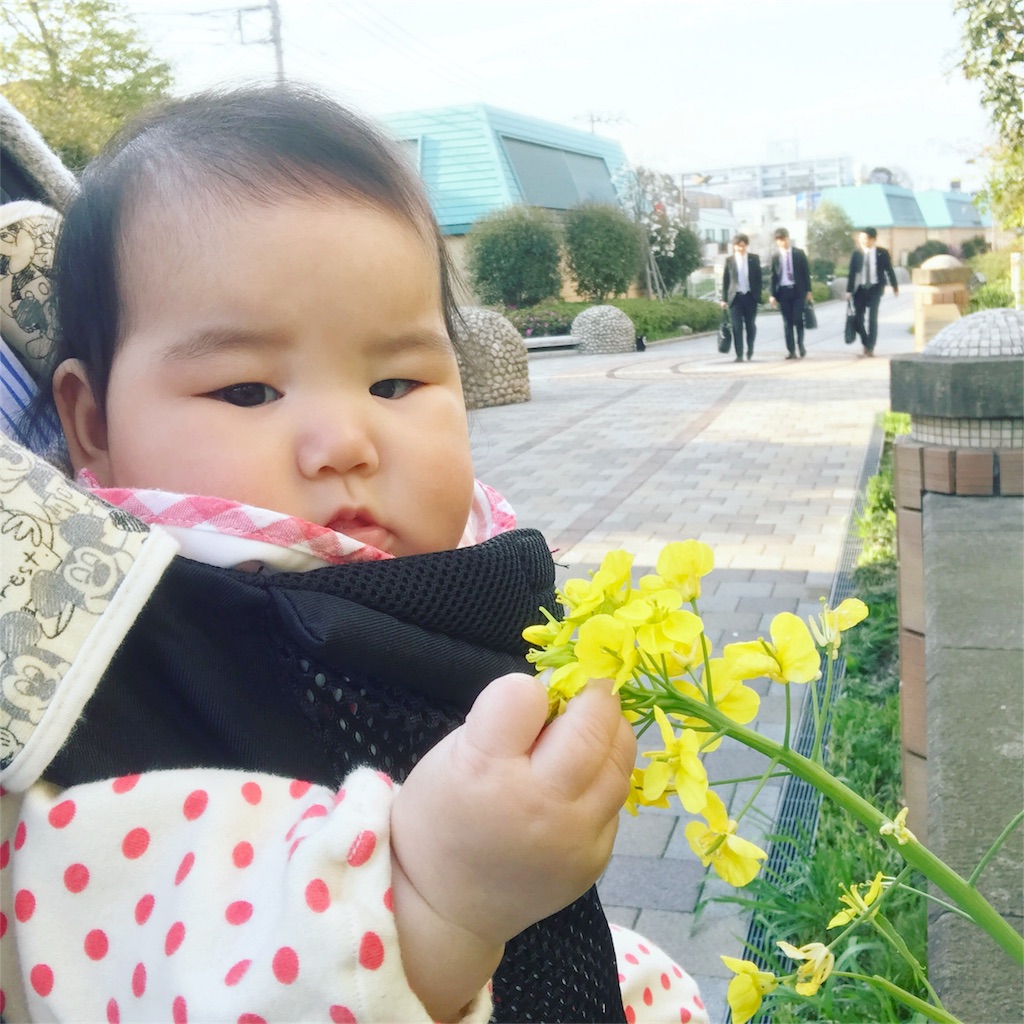 f:id:hamster_nappa:20170414122958j:image