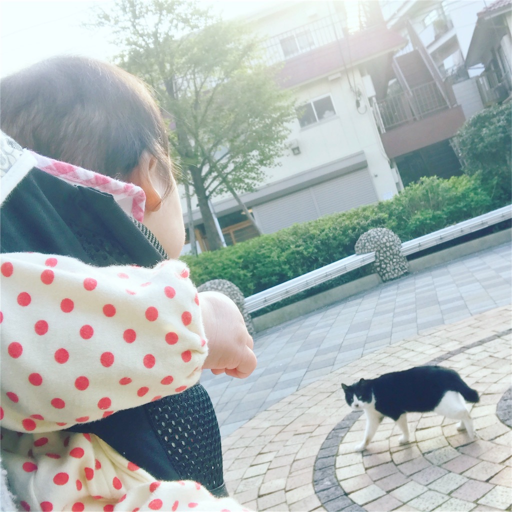 f:id:hamster_nappa:20170414123320j:image
