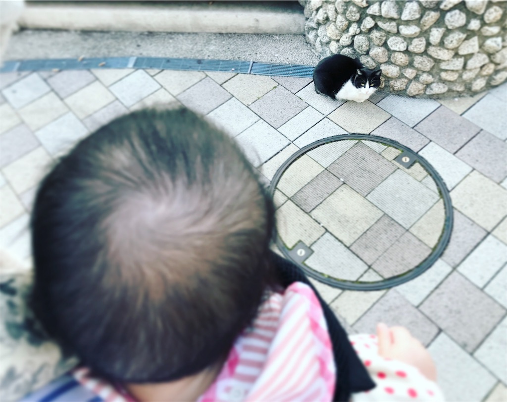 f:id:hamster_nappa:20170414123456j:image
