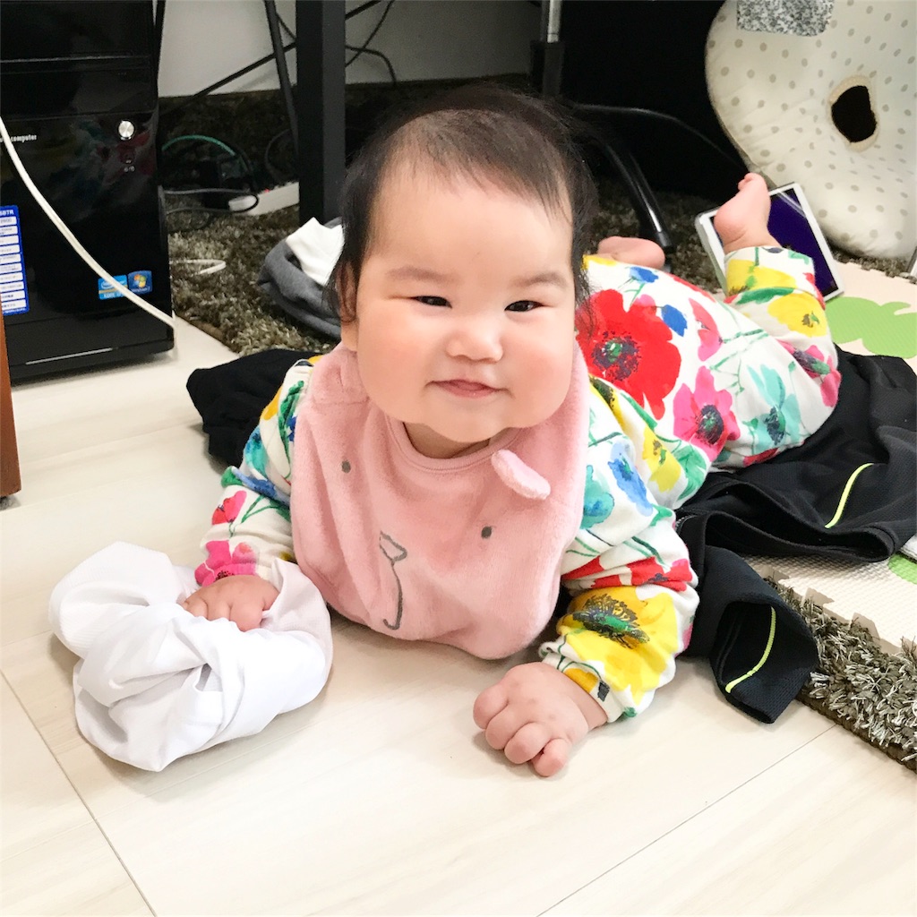 f:id:hamster_nappa:20170422231435j:image