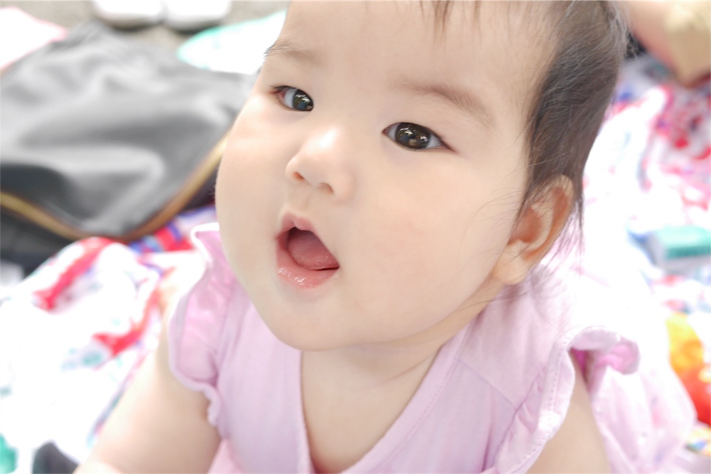 f:id:hamster_nappa:20170616090338j:image