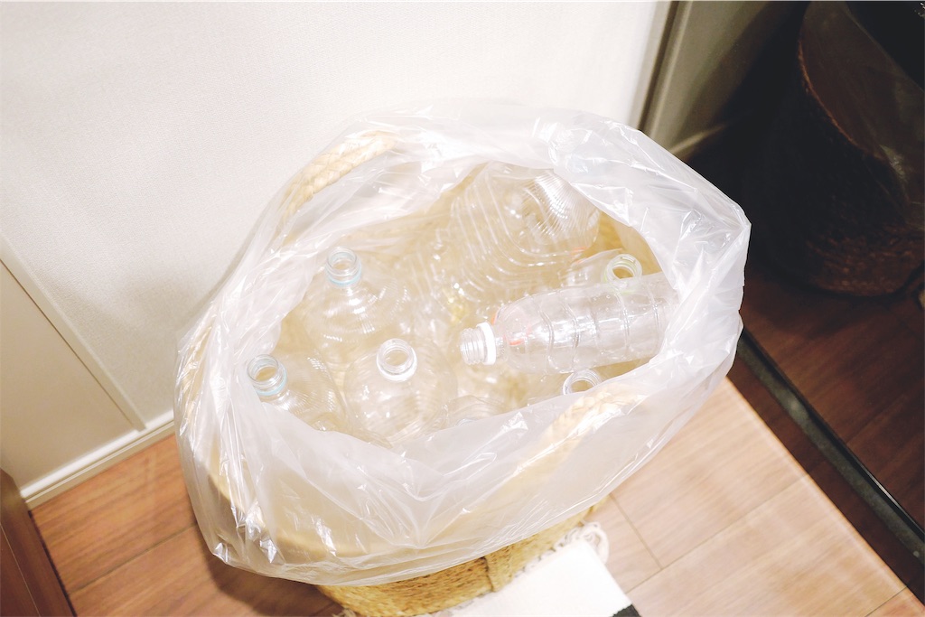 f:id:hamster_nappa:20190712113133j:image