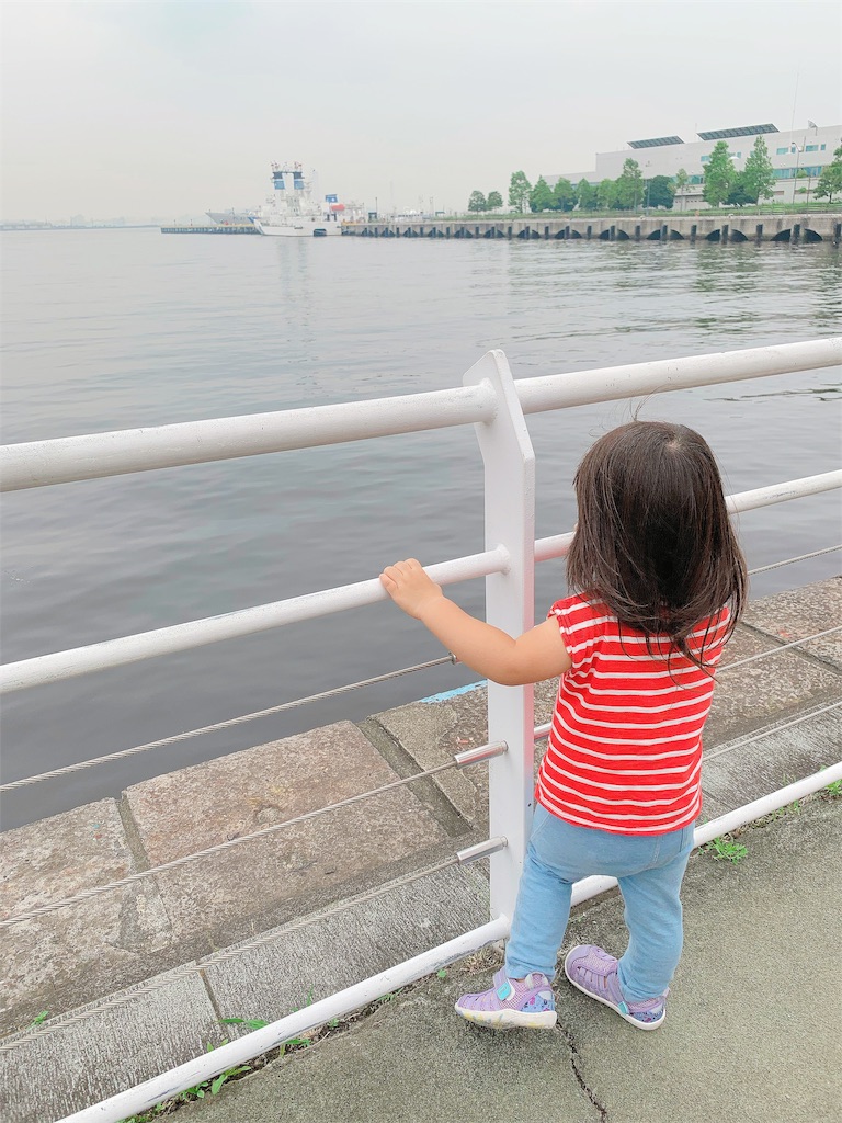 f:id:hamster_nappa:20190720235759j:image f:id:hamster_nappa:20190720235759j:image