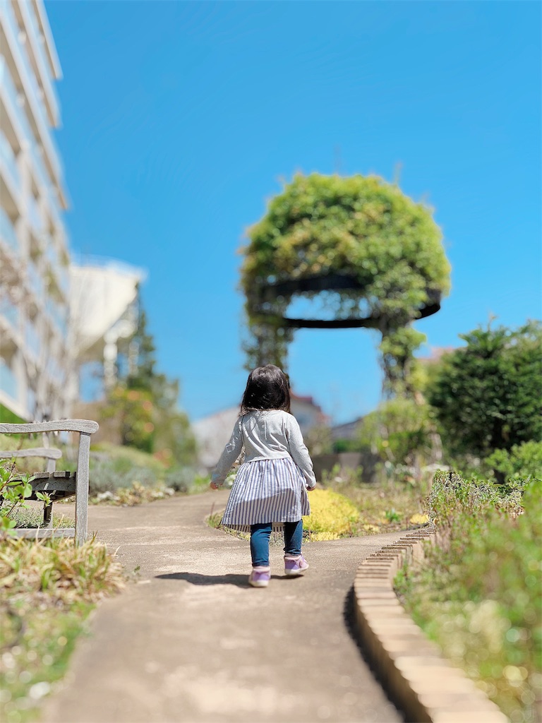 f:id:hamster_nappa:20190801115729j:image