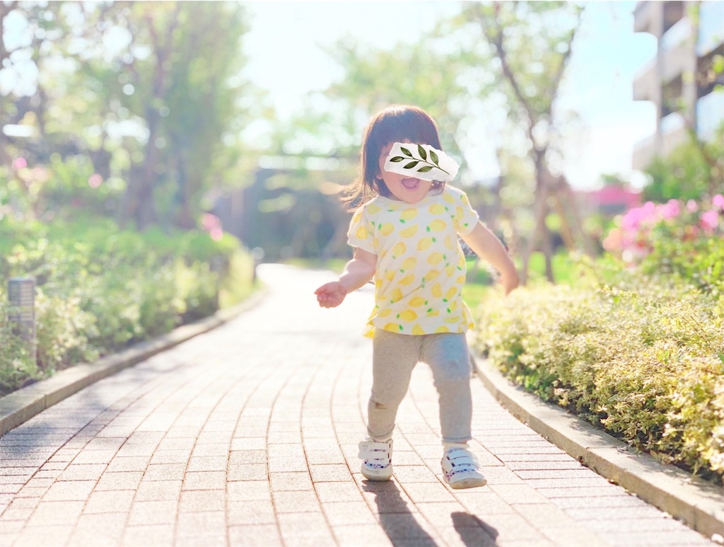 f:id:hamster_nappa:20190801123009j:image