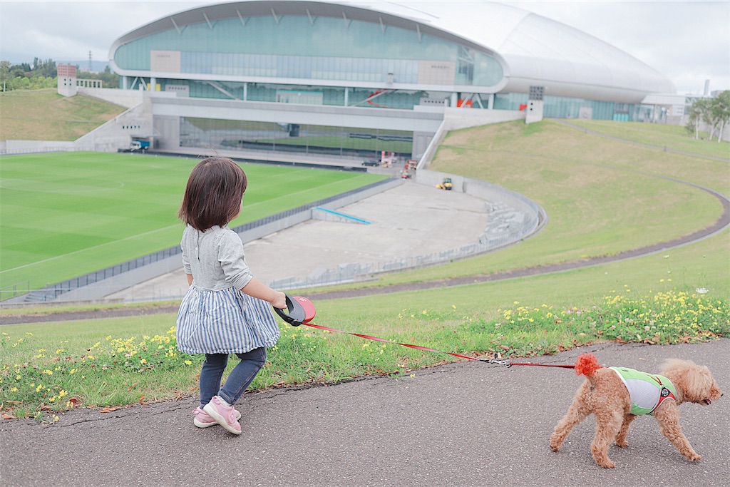f:id:hamster_nappa:20190817081018j:image