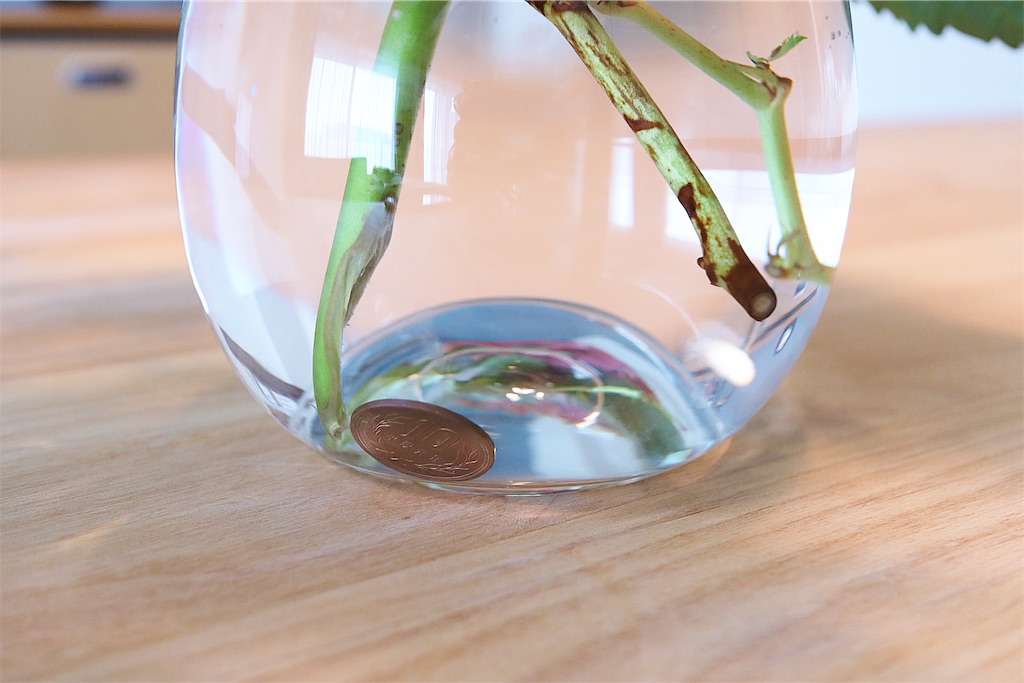 f:id:hamster_nappa:20190905090859j:image