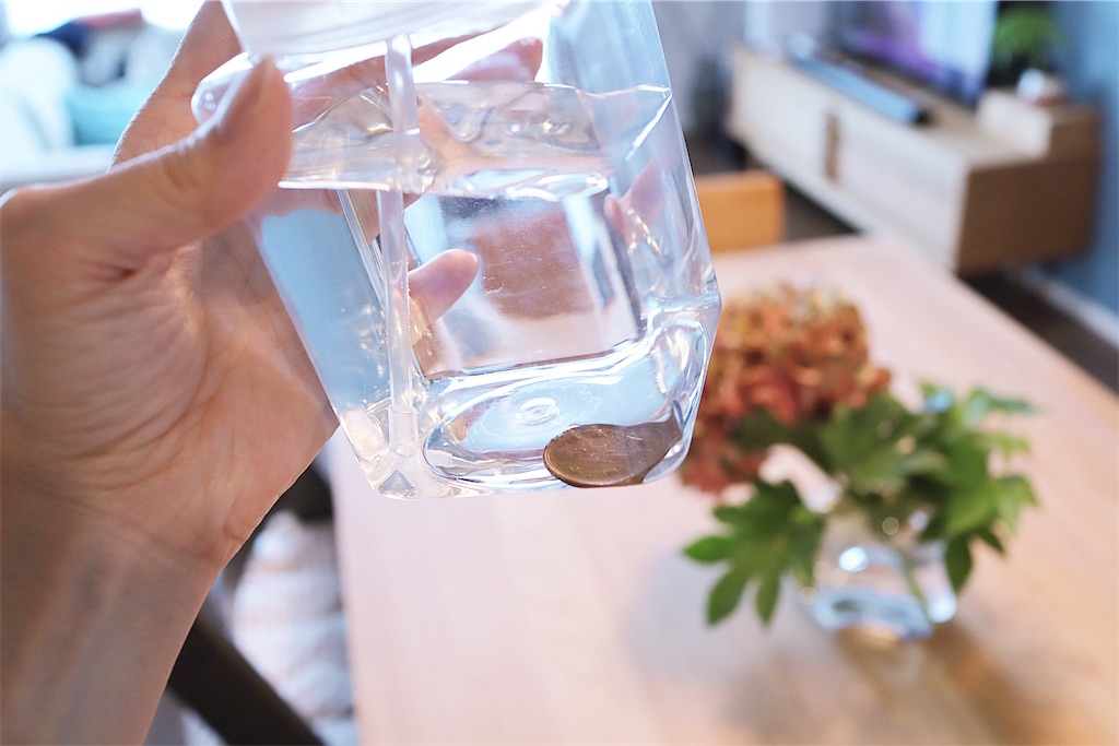 f:id:hamster_nappa:20190905090905j:image