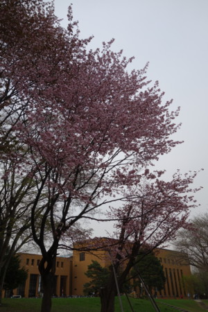 f:id:hamtaro:20150430165304j:image