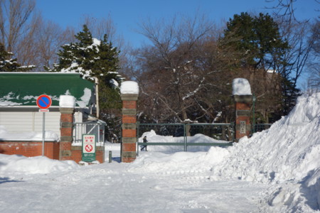 f:id:hamtaro:20161230102002j:image