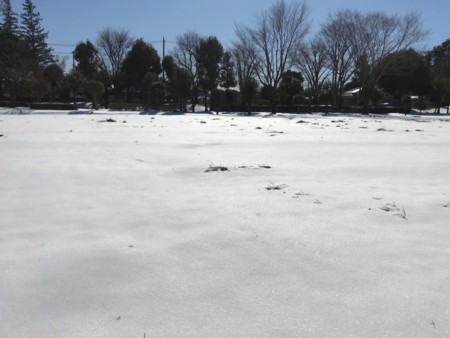 f:id:hamtaro:20180125124851j:image
