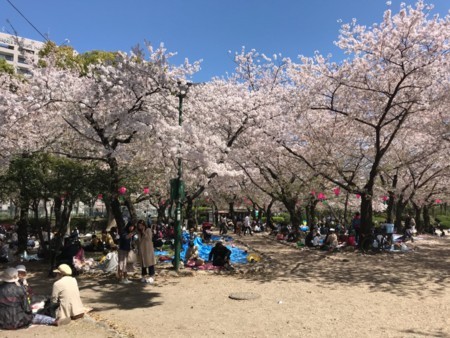 f:id:hamtaro:20180331075419j:image