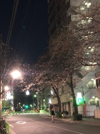 f:id:hamtaro:20190324183626j:image