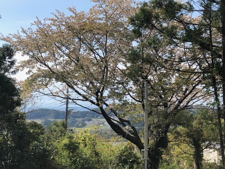 f:id:hamtaro:20190414090704j:image