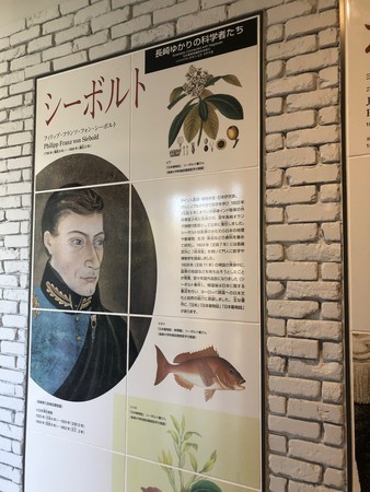 f:id:hamtaro:20191109104132j:image
