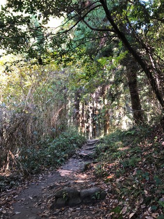 f:id:hamtaro:20201114120311j:image
