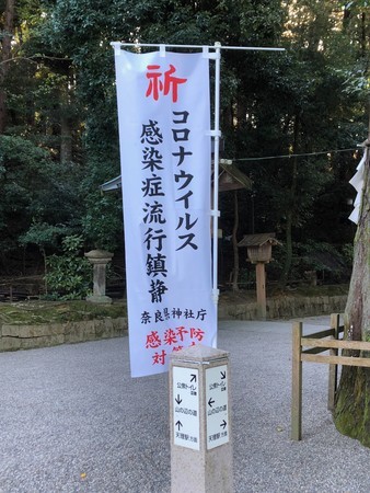 f:id:hamtaro:20201114144248j:image