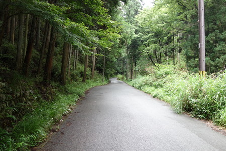 f:id:hamtaro:20210620084705j:image