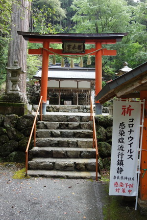 f:id:hamtaro:20210620103701j:image