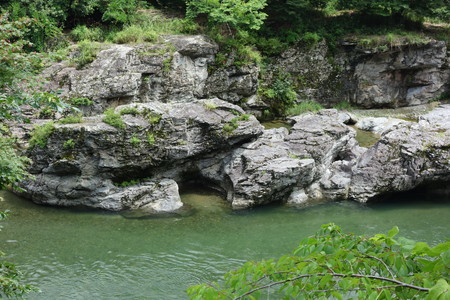 f:id:hamtaro:20210620110751j:image