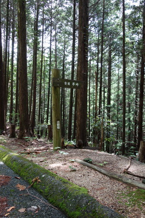 f:id:hamtaro:20210620134226j:image