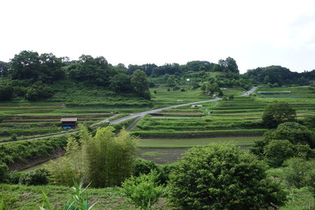 f:id:hamtaro:20210620152629j:image