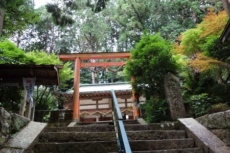 f:id:hamtaro:20210718113129j:image