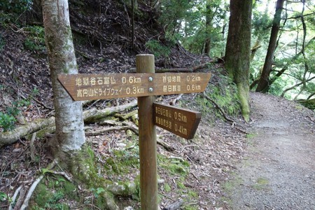 f:id:hamtaro:20210718140955j:image