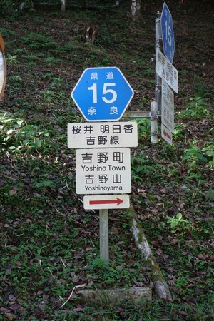 f:id:hamtaro:20211016093302j:image
