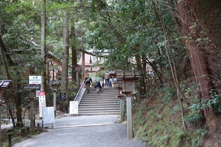 f:id:hamtaro:20211024105627j:image
