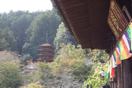 f:id:hamtaro:20211024133549j:image