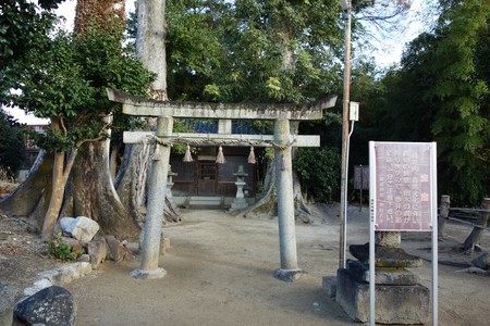 f:id:hamtaro:20211114070905j:image