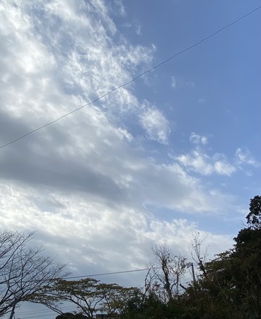 f:id:hamtaro:20211121103534j:image