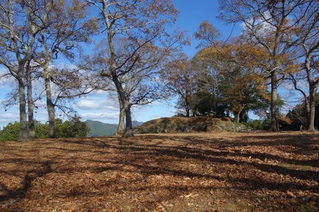 f:id:hamtaro:20211128133427j:image