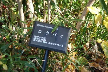f:id:hamtaro:20211128140411j:image