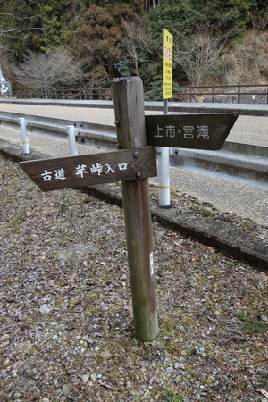 f:id:hamtaro:20220206124818j:image