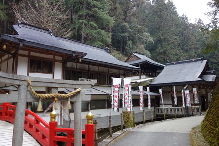 f:id:hamtaro:20220306092408j:image