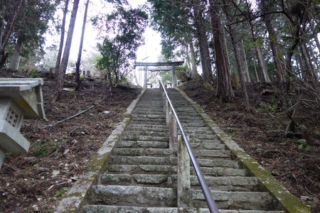 f:id:hamtaro:20220306093026j:image