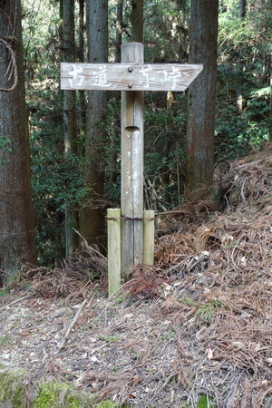 f:id:hamtaro:20220306142536j:image