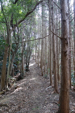 f:id:hamtaro:20220306142850j:image